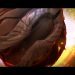 Tea Eye Major - The trailer