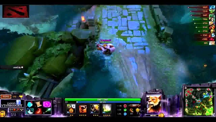 The International Dota 2 2014 Titan VS NewBee Full Game