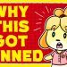 Why Animal Crossing Got Banned in China