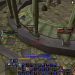 Wow classic DM tribute king gordok kill plus dogs!!!