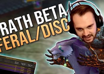Wrath of the Lich King BETA arena -  Feral druid/Disc priest 2v2 | Hydra WotLK Classic Beta