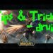 druid tips och tricks -  wow