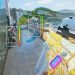 this Doc strat is op...