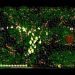 Alien Phobia 1 DOS -- Gameplay 88th Run Played (1997 Wah-Software)