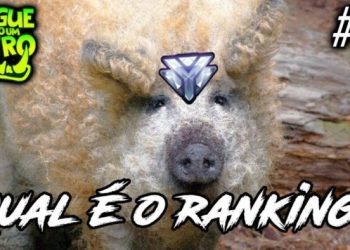 CLASSIFIQUE ESTE ANIMAL #31 - QUAL SEU RANKING NO OVERWATCH?