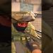 csgo