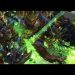 Cure (T) vs Serral (Z) on Deathaura - StarCraft 2 - 2021