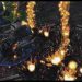 INnoVation (T) vs Rogue (Z) on TLMC Aqueducts - StarCraft 2 - 2021