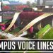 Olympus Voice Lines | Apex Legends