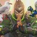 Overwatch - Seagull's Apprentice, with Salty Phish