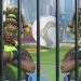 Overwatch - The Traumatic Experience of Lucioball