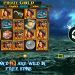 Play Pirate Gold® Free Game Slot by Pragmatic Play