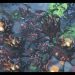Scarlett (Z) vs Serral (Z) on Fracture - StarCraft 2 - 2021