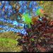 Serral (Z) vs Stats (P) on Submarine - StarCraft 2