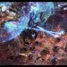TSL 7: Dark (Z) vs Zest (P) on Beckett Industries - StarCraft 2 - 2021