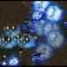 StarCraft Live Stream! Falcon casts PRO and YOUR Brood War replays! FME/UMS/FFA
