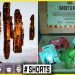 Apex Legends Heirloom Shards Giveaway & Respawn Sent Me Something.. Let's Take a Look! #shorts