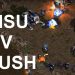 Bisu (P) v Rush (T) on Fighting Spirit - SC - Brood War REMASTERED