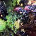 EPIC - Maru (T) vs Rogue (Z) on Romanticide - StarCraft 2 -2021