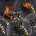 Fastest Map Ever - Brain (T) vs Leebokgu (P) - StarCraft - Brood War REMASTERED 2022