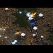 Horang2 (P) vs Mind (T) on Neo Sylphid - StarCraft - Brood War 2021