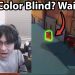 TenZ FORGETS he's Color Blind in Valorant...