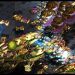 StarCraft Live Stream! Falcon casts PRO and YOUR Brood War replays! FME/UMS/FFA