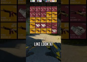 BIGGEST CSGO SKIN COLLECTOR