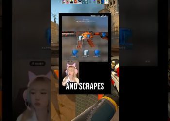 STREAMER SCRAPES A $50000 STICKER