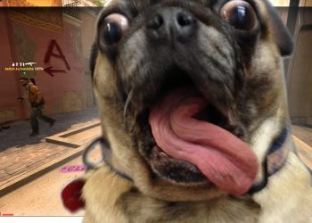 his PUG started SCREAMING in the middle of our game!!