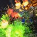 StarCraft 2 Cheese Games #74! September 2021