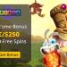 Spinia Casino Banner