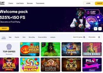 CatCasino Review - Exciting Online Casino