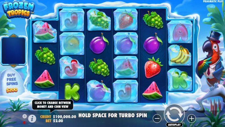 Frozen Tropics Slot Review & Demo