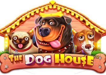 The Dog House Slot Review - Pragmatic Play