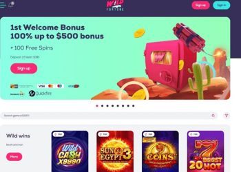 Wild Fortune Casino Review - A Comprehensive Look